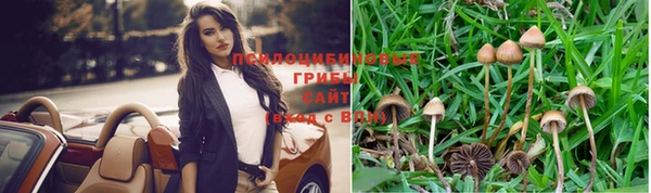 jwh Алзамай