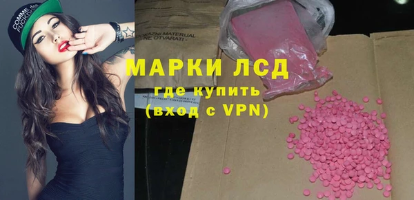 прущие грибы Мегион